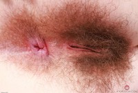 ATK hairy Pearl Sage Set