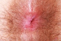 ATK hairy Pearl Sage Set