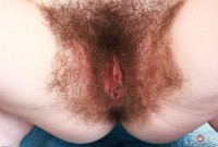 ATK hairy Pearl Sage in scary hairy