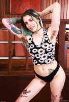 ATK hairy Pearl Sage in young and hairy