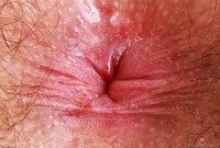 ATK hairy Pearl Sage in scary hairy