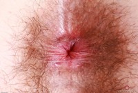 ATK hairy Pearl Sage Set