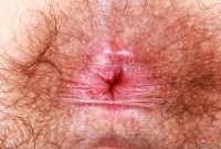 ATK hairy Pearl Sage Set