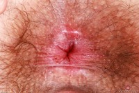 ATK hairy Pearl Sage Set