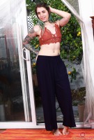 ATK hairy Pearl Sage in scary hairy