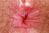 ATK hairy Pearl Sage in scary hairy