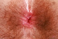 ATK hairy Pearl Sage in scary hairy