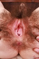 ATK hairy Pearl Sage in scary hairy