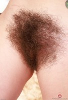 ATK hairy Pearl Sage in scary hairy