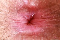 ATK hairy Pearl Sage in scary hairy