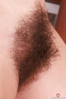 ATK hairy Pearl Sage Set