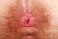 ATK hairy Pearl Sage Set