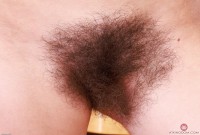 ATK hairy Pearl Sage in scary hairy