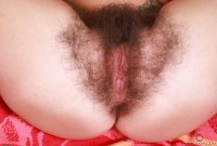 ATK hairy Pearl Sage Set