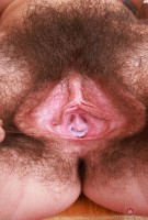 ATK hairy Pearl Sage in scary hairy