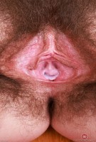 ATK hairy Pearl Sage Set