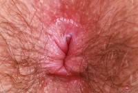 ATK hairy Pearl Sage Set