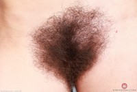 ATK hairy Pearl Sage in scary hairy