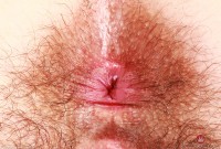 ATK hairy Pearl Sage in scary hairy