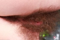 ATK hairy Pearl Sage Set