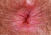 ATK hairy Pearl Sage Set