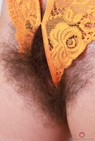 ATK hairy Pearl Sage in scary hairy