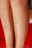 ATK hairy Pearl Sage Set