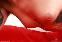 ATK hairy Pearl Sage Set