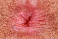 ATK hairy Pearl Sage Set