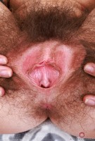 ATK hairy Pearl Sage Set