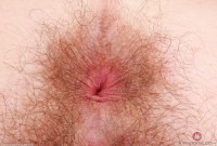 ATK hairy Pearl Sage Set