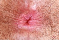 ATK hairy Pearl Sage Set