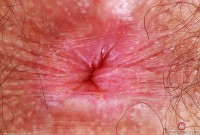 ATK hairy Pearl Sage Set