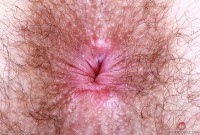 ATK hairy Pearl Sage Set