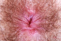 ATK hairy Pearl Sage Set