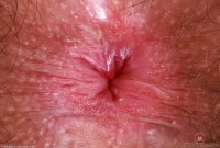 ATK hairy Pearl Sage Set