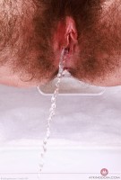 ATK hairy Pearl Sage Set