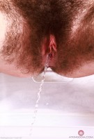 ATK hairy Pearl Sage Set