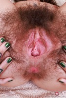 ATK hairy Pearl Sage in scary hairy