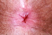 ATK hairy Pearl Sage Set