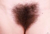 ATK hairy Pearl Sage Set