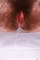 ATK hairy Pearl Sage Set