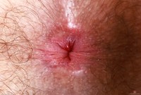 ATK hairy Pearl Sage Set