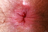 ATK hairy Pearl Sage in scary hairy