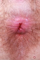 ATK hairy Pearl Sage Set