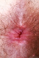 ATK hairy Pearl Sage in scary hairy