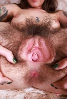 ATK hairy Pearl Sage in scary hairy