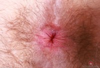 ATK hairy Pearl Sage Set