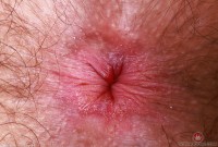 ATK hairy Pearl Sage Set