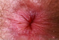 ATK hairy Pearl Sage Set